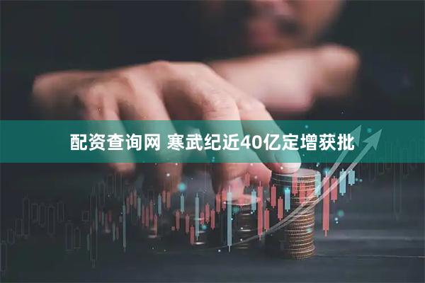 配资查询网 寒武纪近40亿定增获批