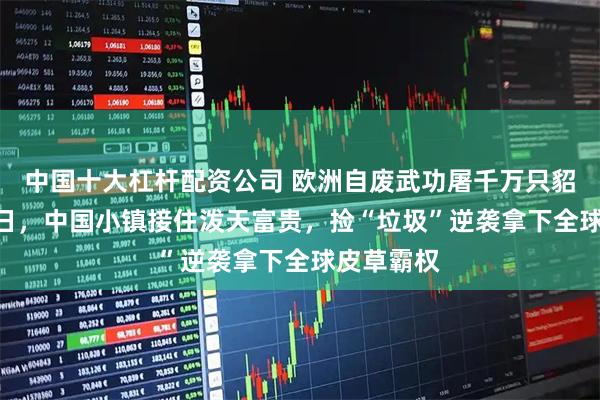 中国十大杠杆配资公司 欧洲自废武功屠千万只貂！2月13日，中国小镇接住泼天富贵，捡“垃圾”逆袭拿下全球皮草霸权