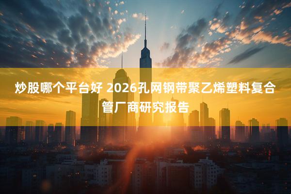 炒股哪个平台好 2026孔网钢带聚乙烯塑料复合管厂商研究报告